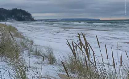 Dünengras am winterlichen Ostseestrand von Baabe: